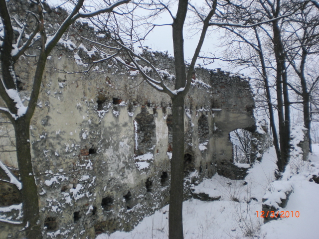 CIMG1946.JPG