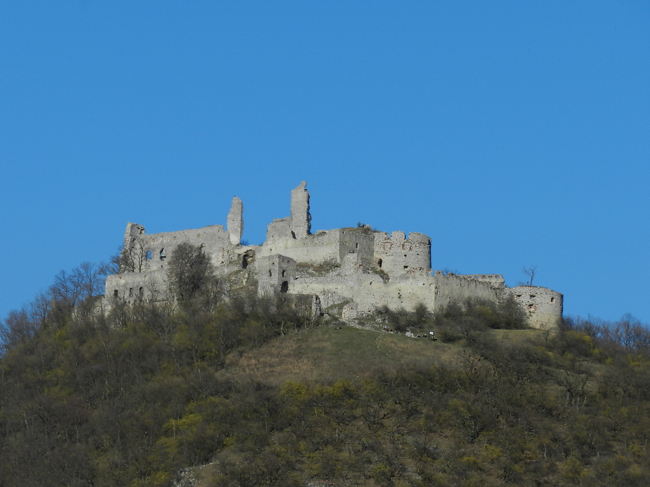 DSCN0347