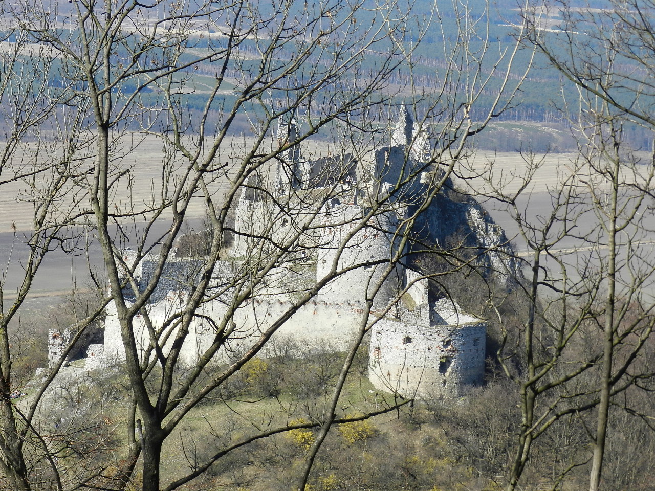 DSCN0262
