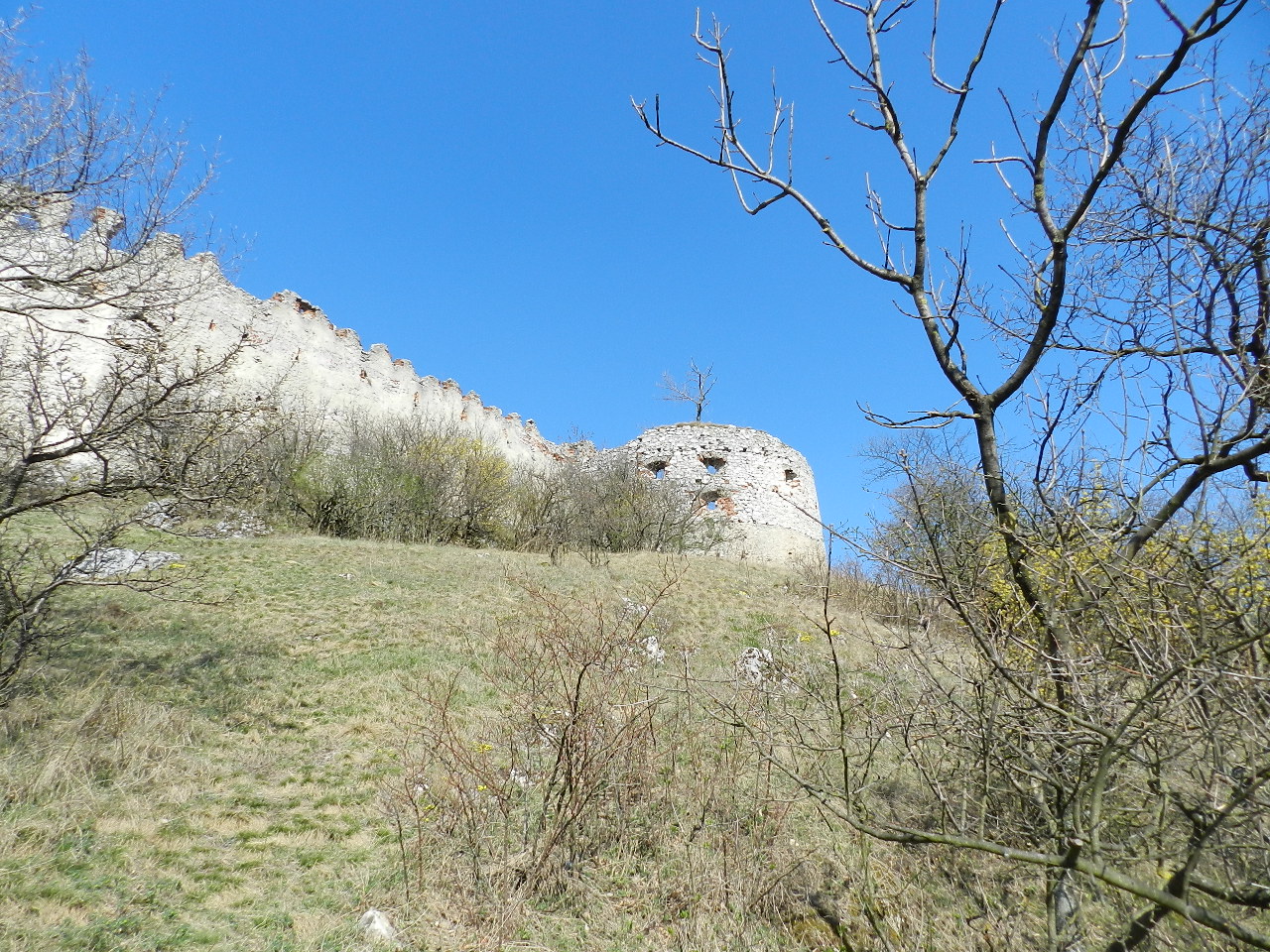 DSCN0266