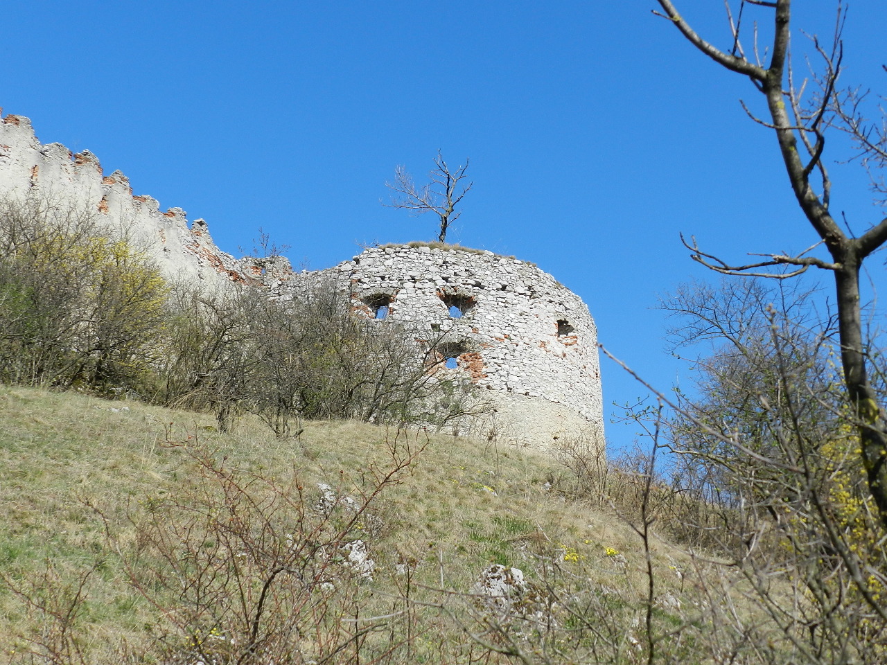 DSCN0267